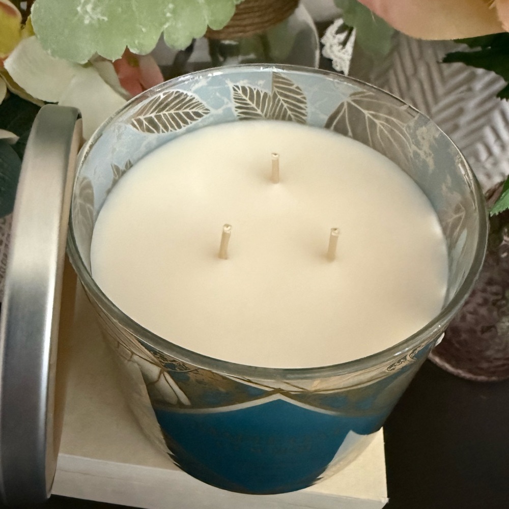 🆕🕯️ DISTANT LANDS LIMITED EDITION 3-WICK “MAPLE OAT COOKIE” 3-WICK CANDLE. NEW! - Picture 2 of 7